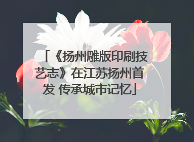 《扬州雕版印刷技艺志》在江苏扬州首发 传承城市记忆