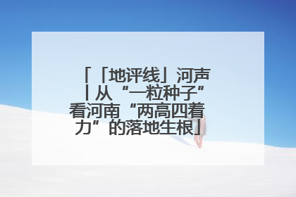 「地评线」河声丨从“一粒种子”看河南“两高四着力”的落地生根