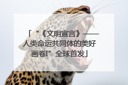 “《文明宣言》——人类命运共同体的美好画卷I”全球首发