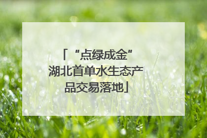 “点绿成金” 湖北首单水生态产品交易落地