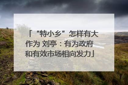 “特小乡”怎样有大作为 刘亭：有为政府和有效市场相向发力