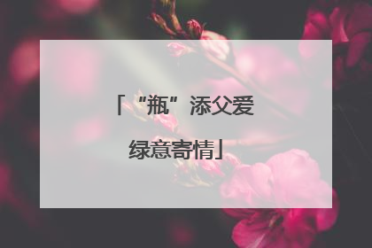 “瓶”添父爱 绿意寄情
