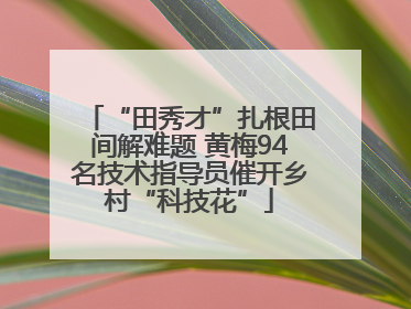 “田秀才”扎根田间解难题 黄梅94名技术指导员催开乡村“科技花”