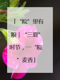 “皖”里有粮｜“三夏”时节，一“皖”麦香