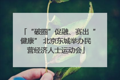 “破圈”促融、赛出“健康” 北京东城举办民营经济人士运动会