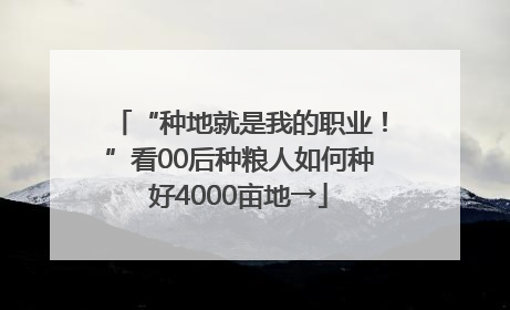 “种地就是我的职业！”看00后种粮人如何种好4000亩地→