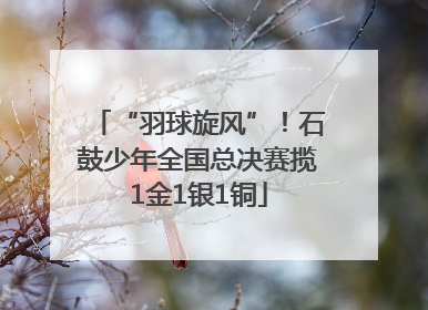 “羽球旋风”！石鼓少年全国总决赛揽1金1银1铜