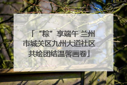 “粽”享端午 兰州市城关区九州大道社区共绘团结温馨画卷