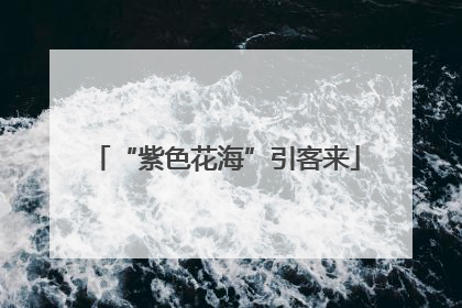“紫色花海”引客来