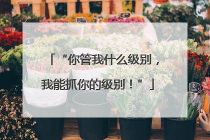 “你管我什么级别，我能抓你的级别！”