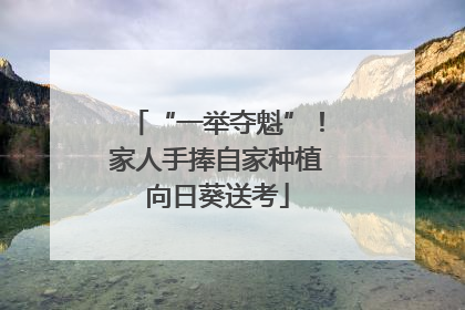 “一举夺魁”！家人手捧自家种植向日葵送考