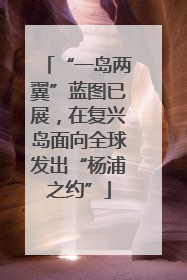 “一岛两翼”蓝图已展，在复兴岛面向全球发出“杨浦之约”