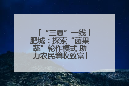 “三夏”一线丨肥城：探索“菌果蔬”轮作模式 助力农民增收致富
