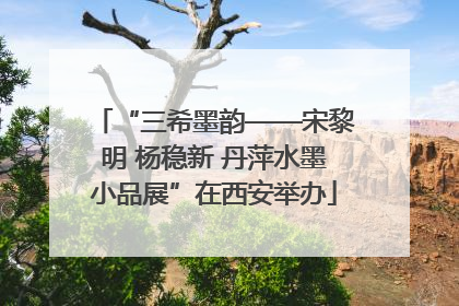 “三希墨韵——宋黎明 杨稳新 丹萍水墨小品展”在西安举办