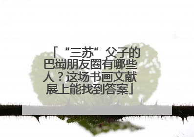 “三苏”父子的巴蜀朋友圈有哪些人？这场书画文献展上能找到答案