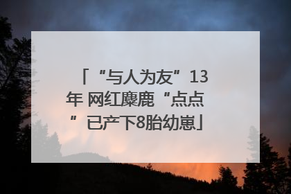 “与人为友”13年 网红麋鹿“点点”已产下8胎幼崽