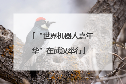 “世界机器人嘉年华”在武汉举行