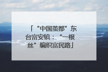“中国茧都”东台富安镇：“一根丝”编织富民路