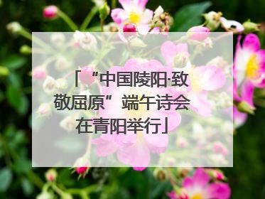 “中国陵阳·致敬屈原”端午诗会在青阳举行