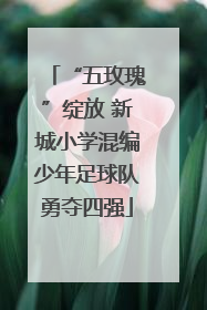 “五玫瑰”绽放 新城小学混编少年足球队勇夺四强