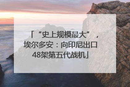 “史上规模最大”，埃尔多安：向印尼出口48架第五代战机