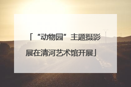 “动物园”主题摄影展在清河艺术馆开展