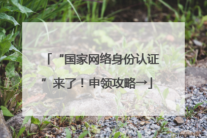 “国家网络身份认证”来了！申领攻略→