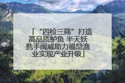 “四检三筛”打造高品质鲈鱼 半天妖携手闽威助力福鼎渔业实现产业升级