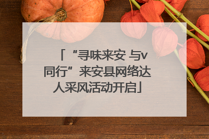 “寻味来安 与v同行”来安县网络达人采风活动开启