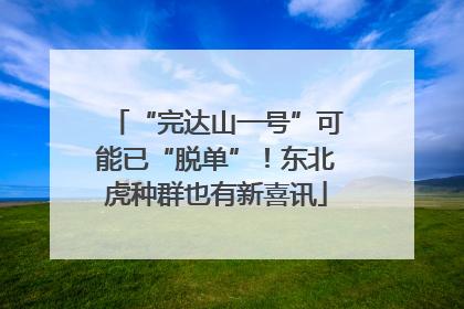 “完达山一号”可能已“脱单”！东北虎种群也有新喜讯