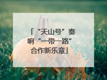 “天山号”奏响“一带一路”合作新乐章