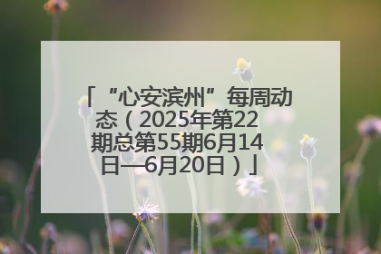 “心安滨州”每周动态（2025年第22期总第55期6月14日—6月20日）