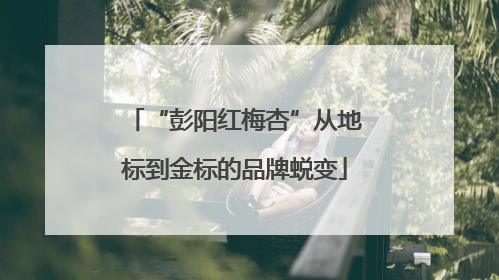 “彭阳红梅杏”从地标到金标的品牌蜕变