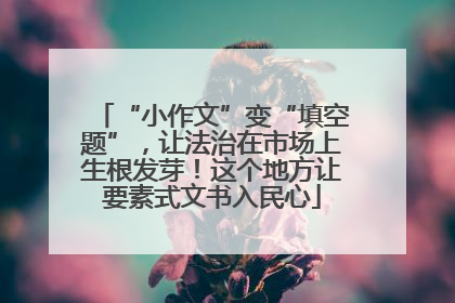 “小作文”变“填空题”，让法治在市场上生根发芽！这个地方让要素式文书入民心
