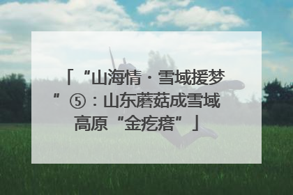“山海情・雪域援梦”⑤：山东蘑菇成雪域高原“金疙瘩”
