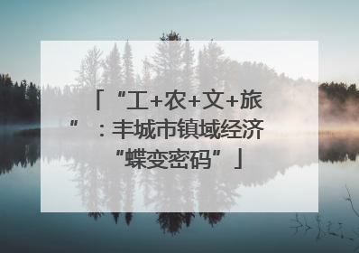“工+农+文+旅”：丰城市镇域经济“蝶变密码”