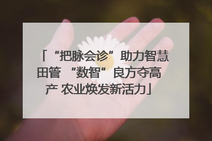 “把脉会诊”助力智慧田管 “数智”良方夺高产 农业焕发新活力