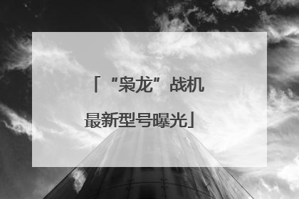 “枭龙”战机最新型号曝光
