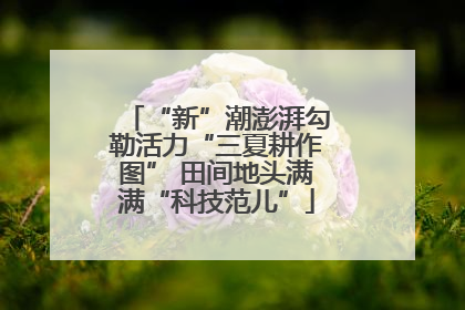 “新”潮澎湃勾勒活力“三夏耕作图” 田间地头满满“科技范儿”