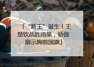 “新王”诞生！王楚钦战胜雨果，骄傲展示胸前国旗