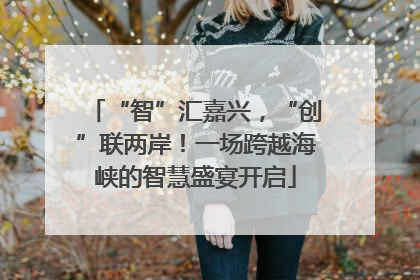 “智”汇嘉兴，“创”联两岸！一场跨越海峡的智慧盛宴开启