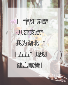 “智汇荆楚·共建支点” 我为湖北“十五五”规划建言献策