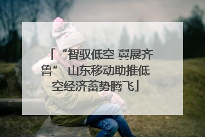 “智驭低空 翼展齐鲁” 山东移动助推低空经济蓄势腾飞