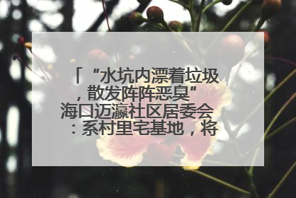 “水坑内漂着垃圾，散发阵阵恶臭” 海口迈瀛社区居委会：系村里宅基地，将派人打捞垃圾