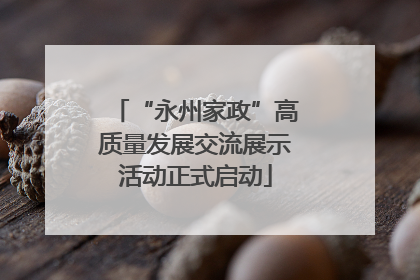 “永州家政”高质量发展交流展示活动正式启动