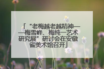 “老梅越老越精神——梅雪峰、梅纯一艺术研究展”研讨会在安徽省美术馆召开