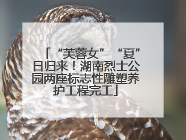 “芙蓉女”“夏”日归来！湖南烈士公园两座标志性雕塑养护工程完工
