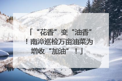 “花香”变“油香”！南漳巡检万亩油菜为增收“加油”！