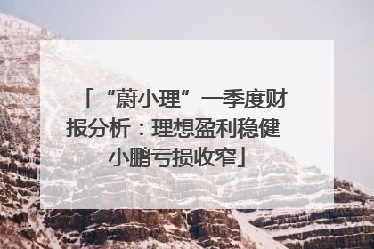 “蔚小理”一季度财报分析：理想盈利稳健 小鹏亏损收窄