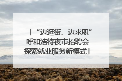“边逛街、边求职” 呼和浩特夜市招聘会探索就业服务新模式